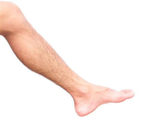 hair loss   legs     vascular problem