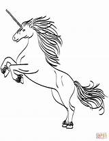 Unicorn Coloring Pages Head Printable Rearing Color Boys Print Magical Drawing Getcolorings Colorings Colorin Getdrawings Walleye Scribblefun sketch template
