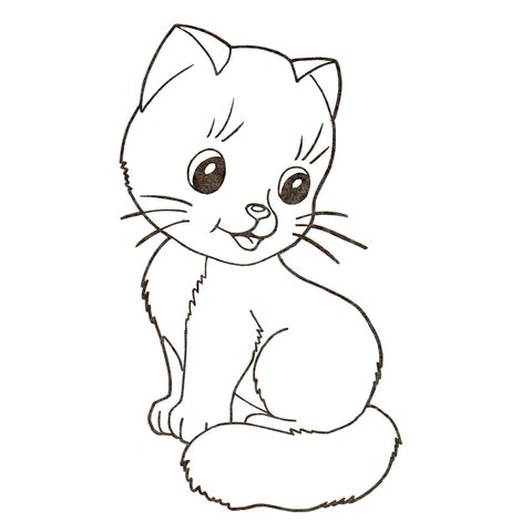 cute  kitten coloring page  printable coloring pages