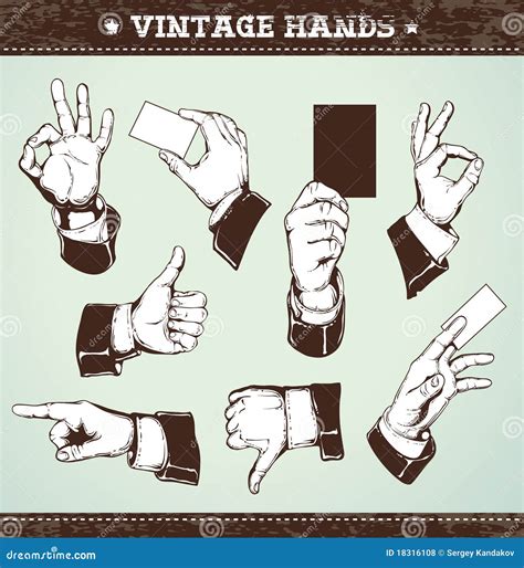 set  vintage hands stock vector illustration  human