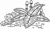 Plantas Uralte Grosse Pflanze Ausmalbild Malvorlage Titel sketch template