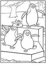 Pingwiny Madagaskaru Kolorowanki Kolorowanka sketch template