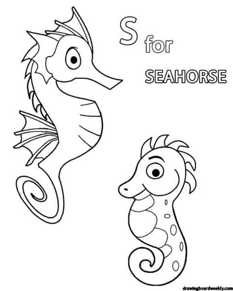 seahorse coloring page drawing board weekly