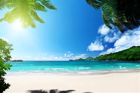 beach summer palms ocean tropical paradise sea sunshine wallpapers hd desktop