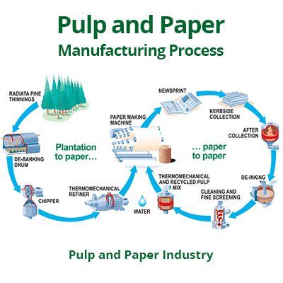 pulp  paper manufacturing process   paper industry paper