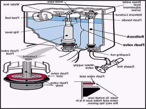 replace  flush valve   mansfield toilet howtormeov