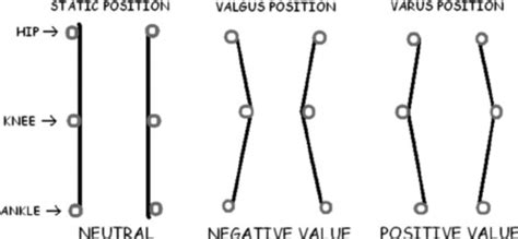 representation  valgus  varus knee angles  scientific