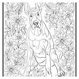 Coloring Book Dogs Stress Instantly Adults Print Who Downloadable Iheartdogs sketch template