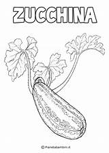 Zucchina Zucchine Pianetabambini Stampare Verdure Vegetali Scrivi sketch template