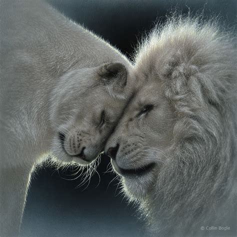 Big Cat Paintings Wild Cat Art Prints Tiger Lion Snow