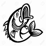 Bass Fish Vector Jumping Icon Water Drawing Vecteezy Getdrawings sketch template