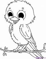 Coloring Pages Baby Birds Printable Kids Bird Animal Cute Drawing Animals Click Draw Then sketch template