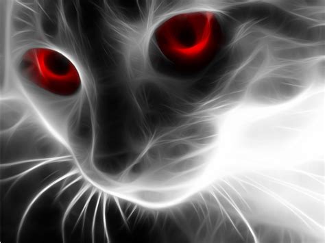 neon cat wallpapers high quality