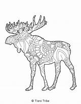 Coloring Mandala Animal Pages Moose sketch template