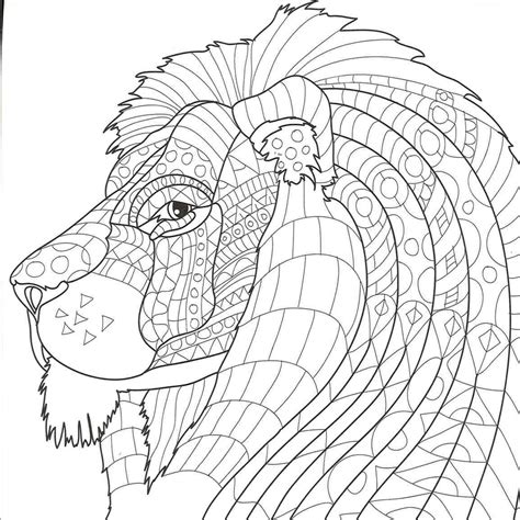 animal kingdom coloring books  adults bookxcess