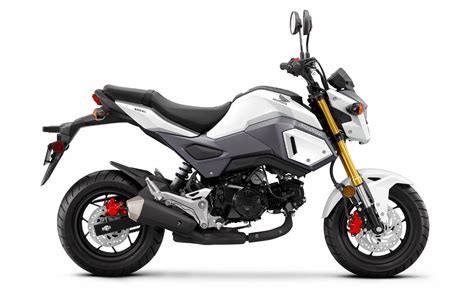 honda grom  pictures motorcycle news updates