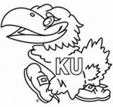 Jayhawk Coloring Kansas Pages University Jayhawks College Sketch Crafts Beloved Madness March School State Prep Marchmadness Basket Sketchite Craft Templates sketch template