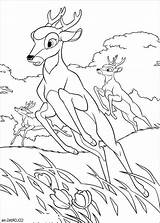 Bambi Pages Chevreuil Coloriage 2703 Animaux Malowanka Wydruku Kolorowanka Kolorowanki Bestappsforkids Coloriages sketch template