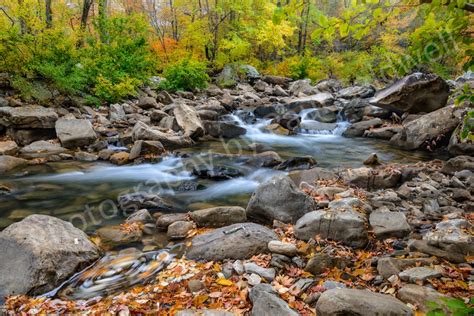 featured arkansas photographyautumn afternoon  richland