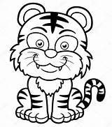 Tigre Tiger Tigres Facil Colorear Animais Comoaprenderdesenhar Pintada Vetor Muito Sararoom Depositphotos sketch template