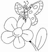 Coloring Butterfly Pages Flower Big sketch template