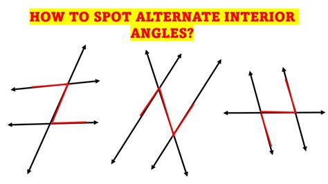 alternate interior angles theorem  examples owlcation