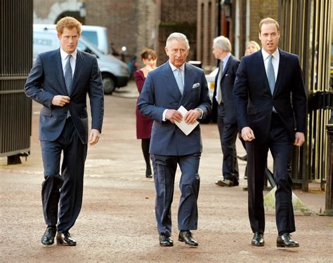 prince harrys relationship   family    massive divide   royal family