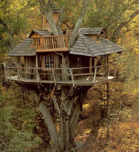 amazing treehouse design   backyard homikucom cool tree houses tree house tree
