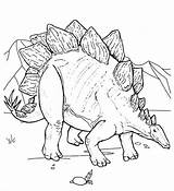 Stegosaurus Coloring Children Pages Kids Coloringpagesfortoddlers Fascinating Adults Artigo sketch template