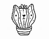 Prickly Cactus Pear Drawing Coloring Saguaro Getdrawings Clipartmag sketch template
