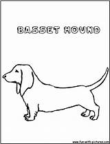 Basset Hound Template Coloring sketch template