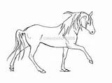 Coloring Horse Horses sketch template