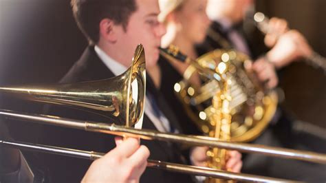 musicians who play wind instruments warned of rare yet