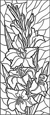 Lilies Vitrail Supercoloring Lood Vetro Suncatcher Stampare sketch template