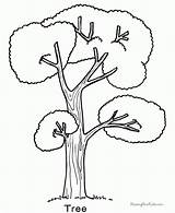 Coloring Tree Pages Popular sketch template