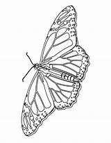 Butterfly Coloring Pages Printable Kids Butterflies Bestcoloringpagesforkids Monarch Bookmark Mycoloringland Land sketch template