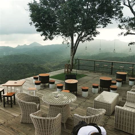 info wisata jogja wisata  coffee angkasa bukit pule payung kulon