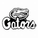 Coloring Gator Getdrawings Pages sketch template