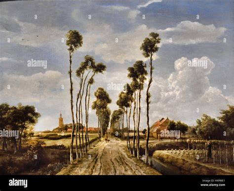 avenue  middelharnis  meindert hobbema dutch  netherlands  painting shows