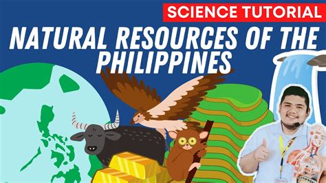 natural resources   philippines science  quarter  week  youtube