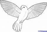 Vogels Vliegende Kleurplaten Kleurplaat Tekenen Downloaden Uitprinten sketch template