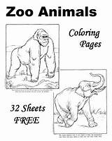 Zoo Coloring Animal Pages Sheets Animals Colouring Printable Color Printables Kids Books Worksheets Book Print Group Ocean Facts Raisingourkids Origami sketch template