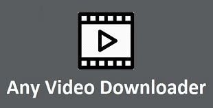 video downloader  windows xp vista      pc
