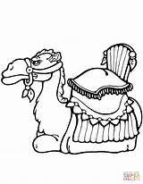 Camel Coloring Pages Down Laying Drawing Neat Kids Camels Exclusive Printable Getdrawings Getcolorings Color Colorings Categories sketch template