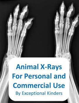 animal  ray images  commercial   exceptional kinders tpt