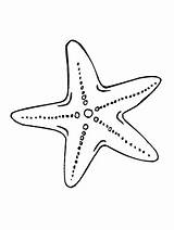Star Coloring Sea Pages Starfish Drawing Animals Printable Invertebrates Patrick Animal Stars Print Sheets Getdrawings Visit Source sketch template