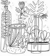 Still Life Adult Coloring Pages Template sketch template