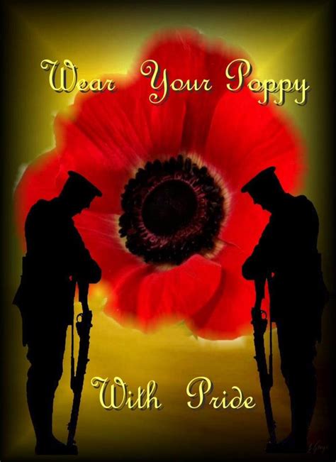 war remembrance day poppy wear   pride  flanders fields
