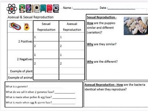 asexual reproduction activity worksheets worksheets