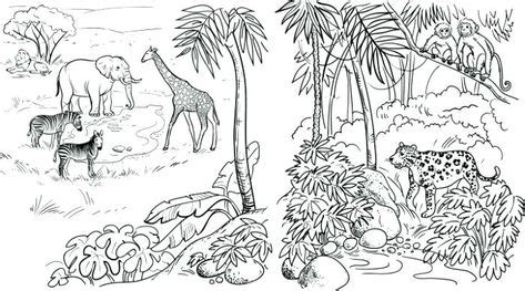 fresh coloring pages jungle   images african animals